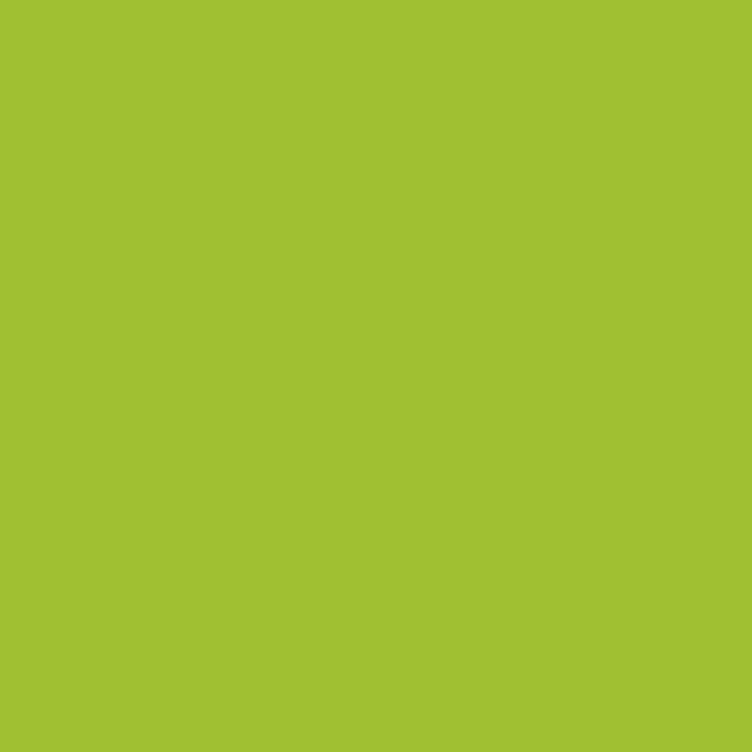 Vera Bradley Women's Ripstop Berkhill Backpack, Lime Green, One Size